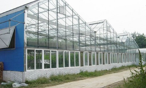 玻璃溫室骨架建造時(shí)需要注意什么?